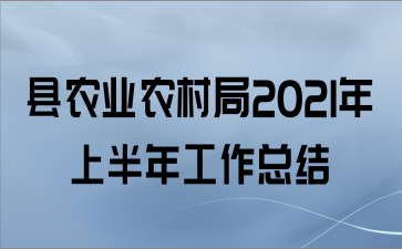 ũҵũ2021ϰ깤ܽ