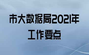 市大数据局2021年工作要点