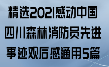精选2021感动中国四川森林消防员先进事迹观后感通用5篇