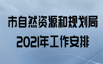 ȻԴ͹滮2021깤