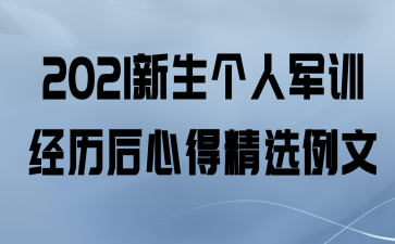 2021˾ѵĵþѡ