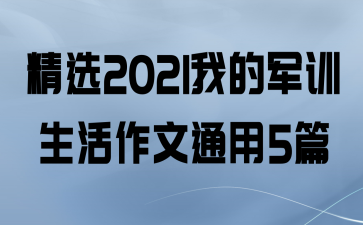 ѡ2021ҵľѵͨ5ƪ