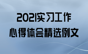 2021ʵϰĵᾫѡ