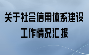 关于社会信用体系建设工作情况汇报