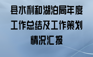 县水利和湖泊局年度工作总结及工作策划情况汇报